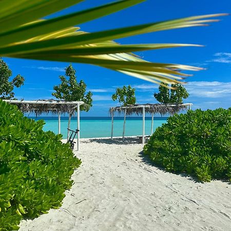 Samura Maldives Guest House Thulusdhoo Kültér fotó