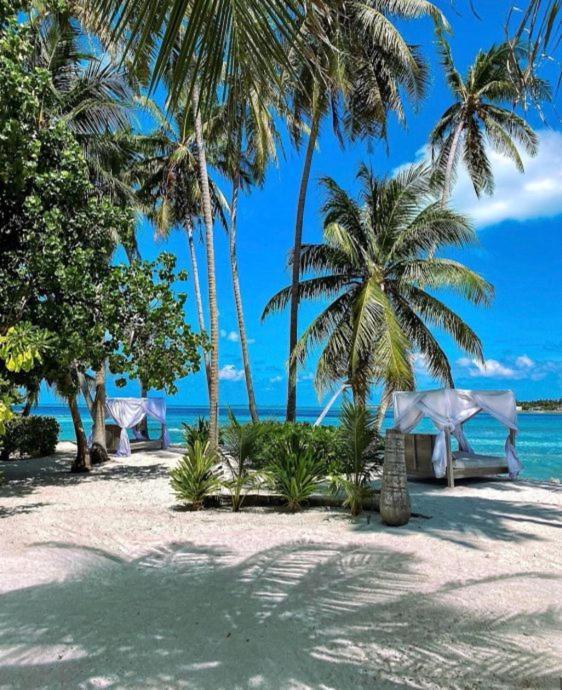 Samura Maldives Guest House Thulusdhoo Kültér fotó