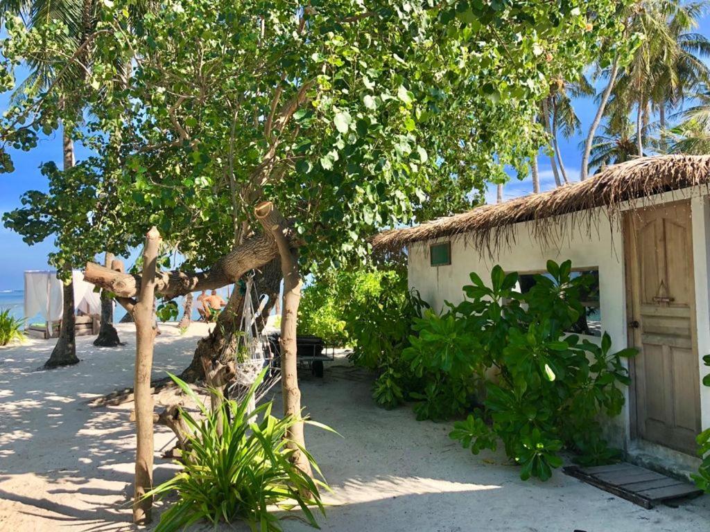 Samura Maldives Guest House Thulusdhoo Kültér fotó