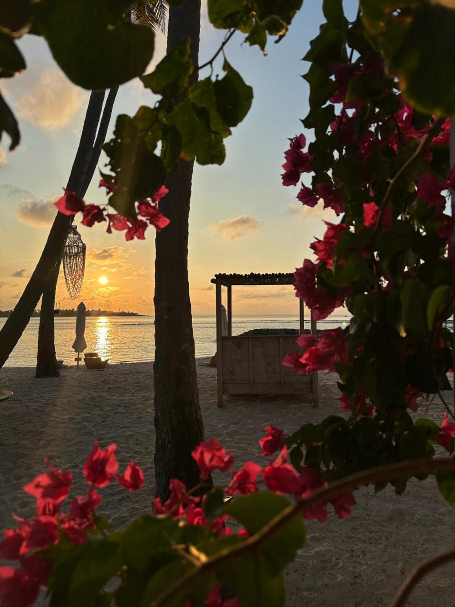 Samura Maldives Guest House Thulusdhoo Kültér fotó
