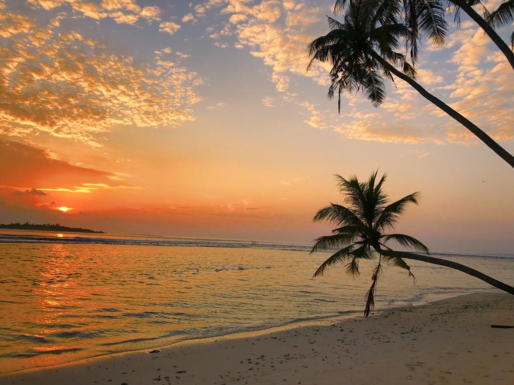 Samura Maldives Guest House Thulusdhoo Kültér fotó
